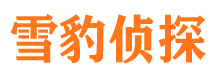 茂港私家侦探公司